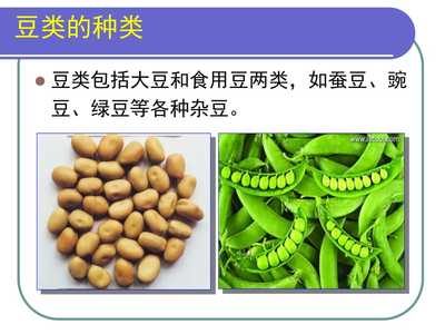 豆类的营养价值
